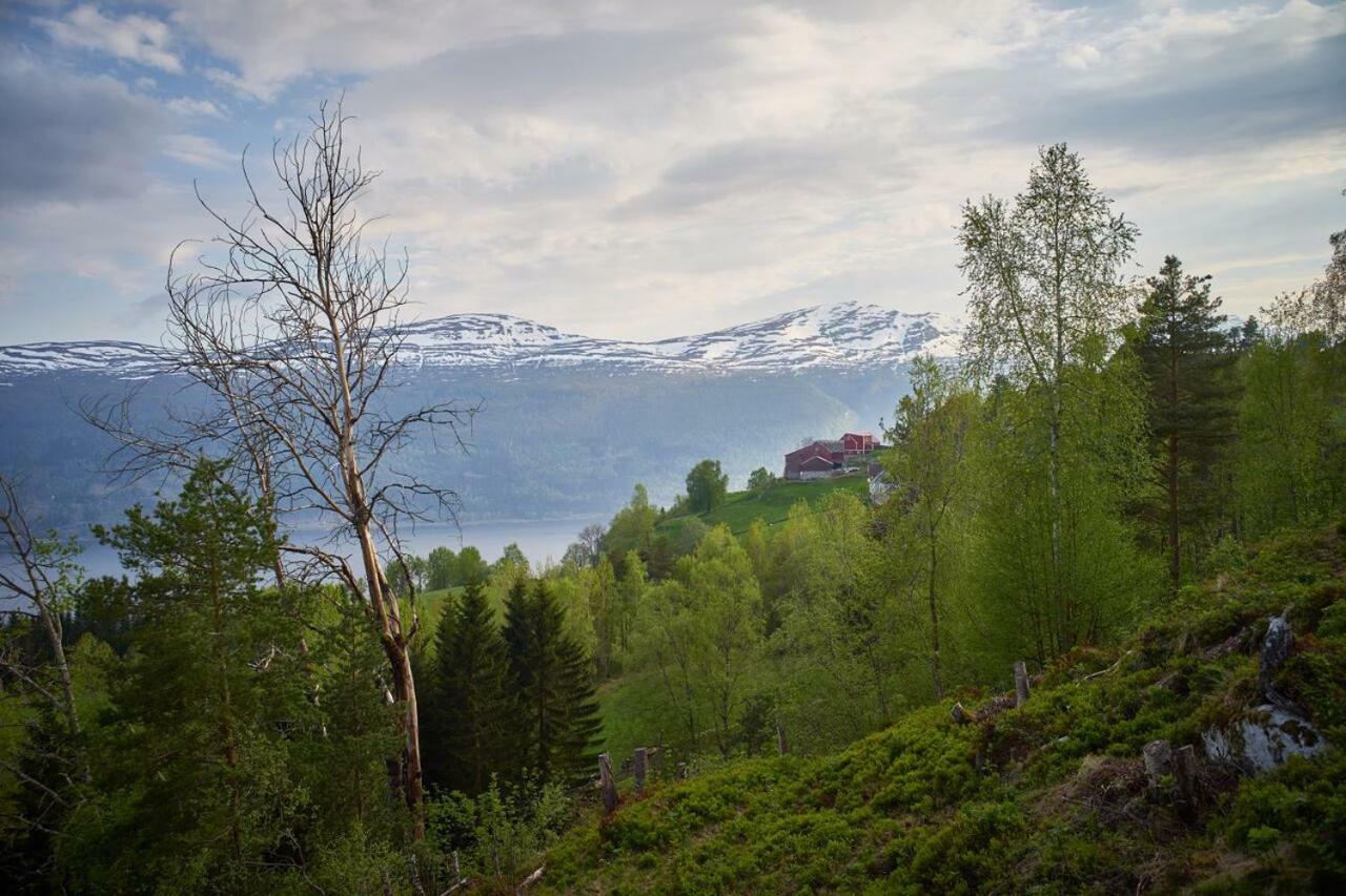 Вілла Panorama View Along The Fjord In Stryn Blakset Екстер'єр фото